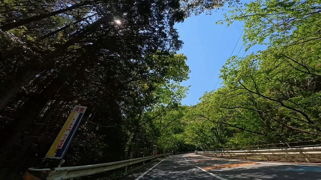 国道260号 南伊勢
